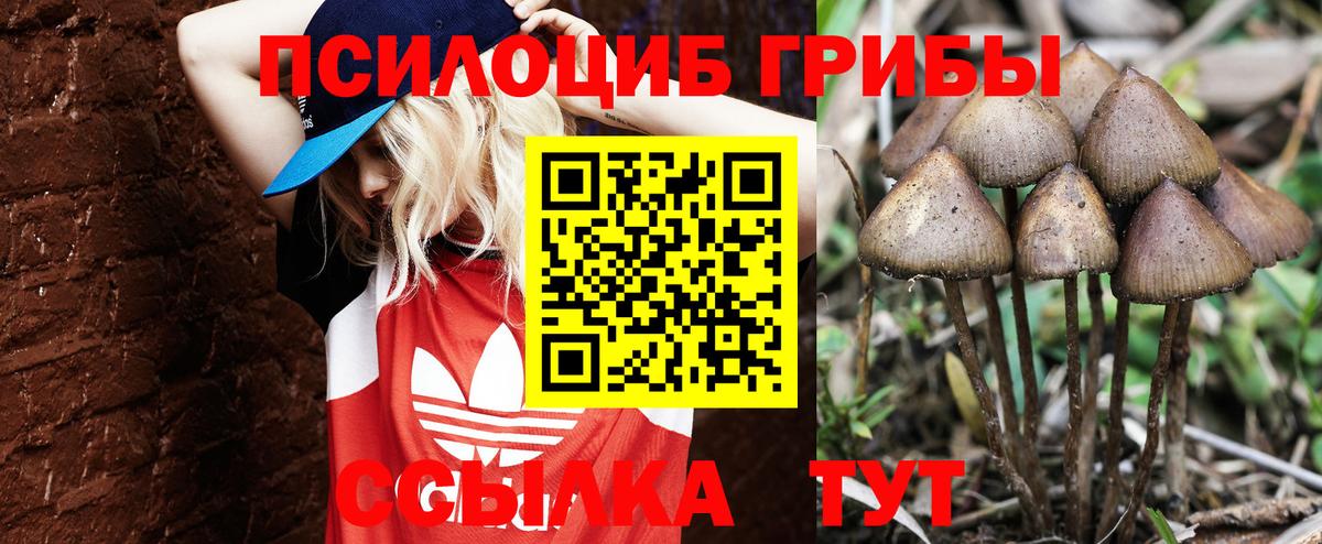 Псилоцибиновые грибы GOLDEN TEACHER Клинцы