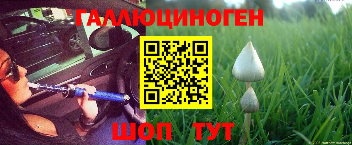продажа наркотиков  Псилоцибиновые грибы GOLDEN TEACHER  Вход с VPN  Клинцы  Псилоцибиновые грибы Psilocybe 